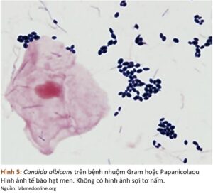 Screenshot 20260115 101728 ReadEra