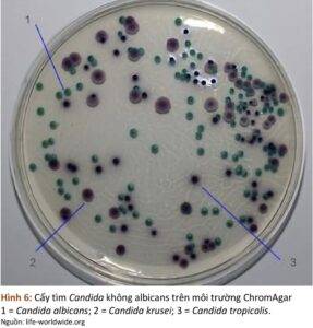 Screenshot 20260115 102005 ReadEra