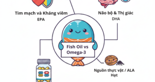 Tim mach va Khang viem