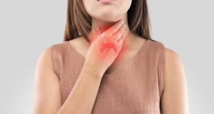 288 basedow 7136 629b large 1