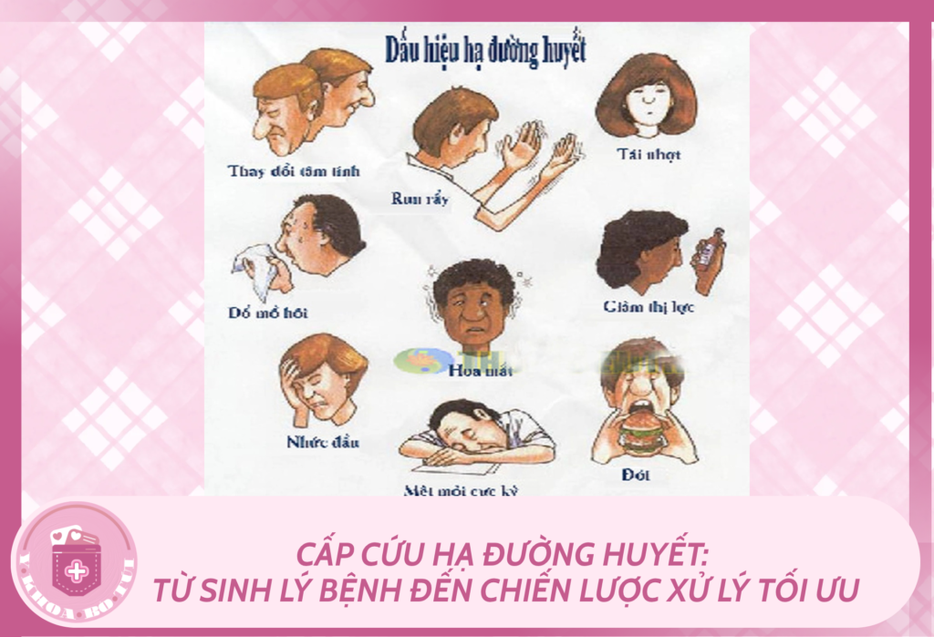 MLYK Y khoa bo tui 1