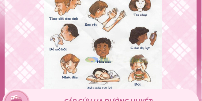 MLYK Y khoa bo tui 1