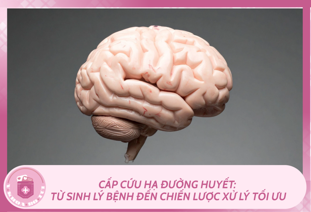 MLYK Y khoa bo tui 2