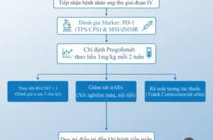 Management of PD 1 Immunotherapy at K Hospital