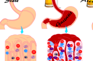 image 44 e1771253935391