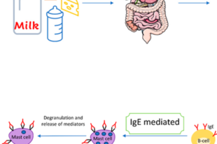 image 45 e1771499111851