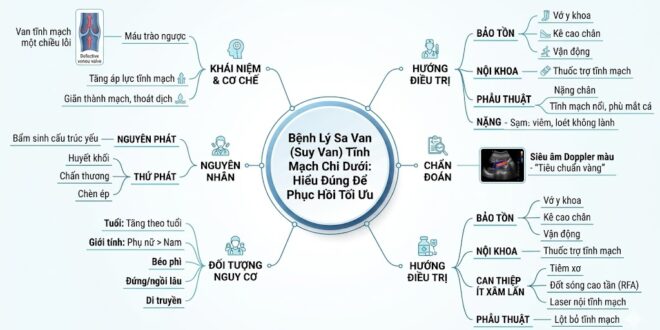 Benh Ly Sa Van Suy Van Tinh Mach Chi Duoi