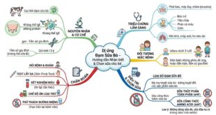 Di ung Dam Bo Huong dan nhan biet va cach chon Sua cho be