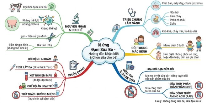 Di ung Dam Bo Huong dan nhan biet va cach chon Sua cho be