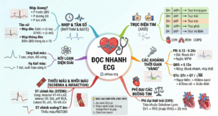 Gemini Generated Image b83qneb83qneb83q