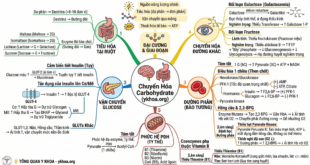 Gemini Generated Image tidhiotidhiotidh