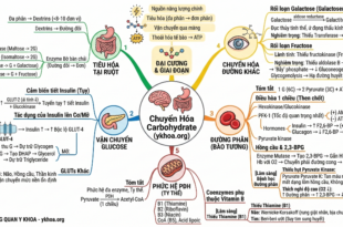 Gemini Generated Image tidhiotidhiotidh