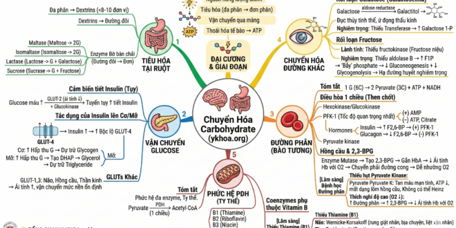 Gemini Generated Image tidhiotidhiotidh