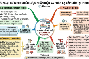 Gemini Generated Image xv84yixv84yixv84