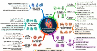 Gemini Generated Image z493jqz493jqz493