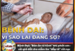 Bệnh Dại: "Bản án tử hình" 100% khi phát cơn và cái giá đắt cho niềm tin "đắp lá" rút nọc Hinh anh 2