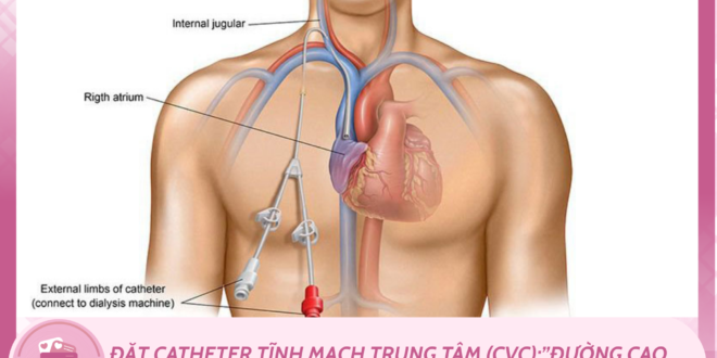 MLYK Y khoa bo tui 11
