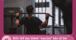 MLYK Y khoa bo tui 15