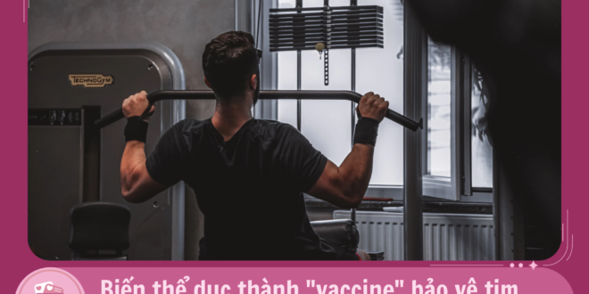 MLYK Y khoa bo tui 15