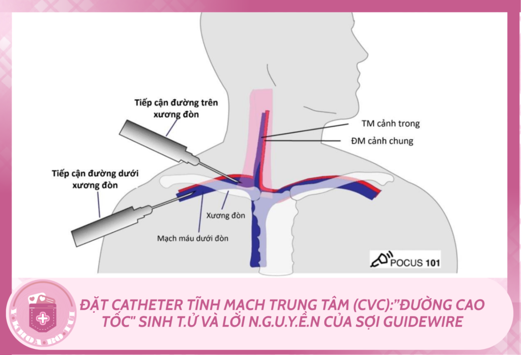 MLYK Y khoa bo tui 9