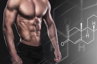 Messenger creation 29330C8E 1630 4D4E 8D29 29EA3A3B996D 1