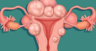 u xo tu cung 1 800x450 1