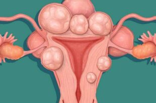 u xo tu cung 1 800x450 1