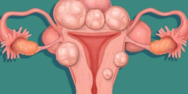 u xo tu cung 1 800x450 1