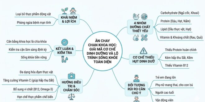 An Chay Khoa Hoc Giai Ma Co Che Dinh Duong Va Lo Trinh Song Khoe Toan Dien