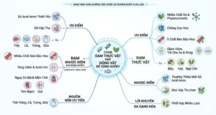 Chon Dam Thuc Vat Hay Dong Vat De Song Khoe