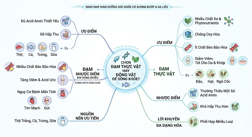 Chon Dam Thuc Vat Hay Dong Vat De Song Khoe