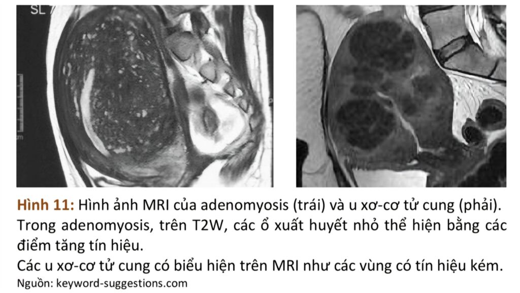 Screenshot 20260422 143553 ReadEra