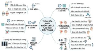 THOAI HOA KHOP KHONG CHI LA LAO HOA DON THUAN