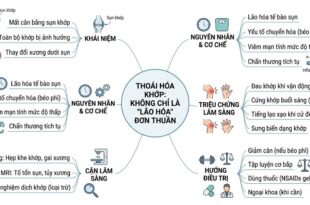 THOAI HOA KHOP KHONG CHI LA LAO HOA DON THUAN