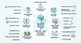 TRUC NAO RUOT VI SAO TIEU