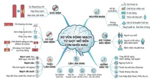 XO VUA DONG MACH TU GIOT MO DEN CON NHOI MAU