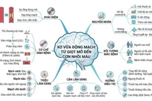 XO VUA DONG MACH TU GIOT MO DEN CON NHOI MAU