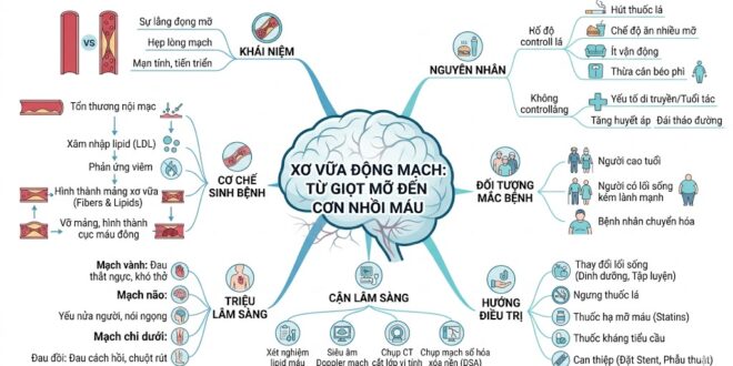 XO VUA DONG MACH TU GIOT MO DEN CON NHOI MAU