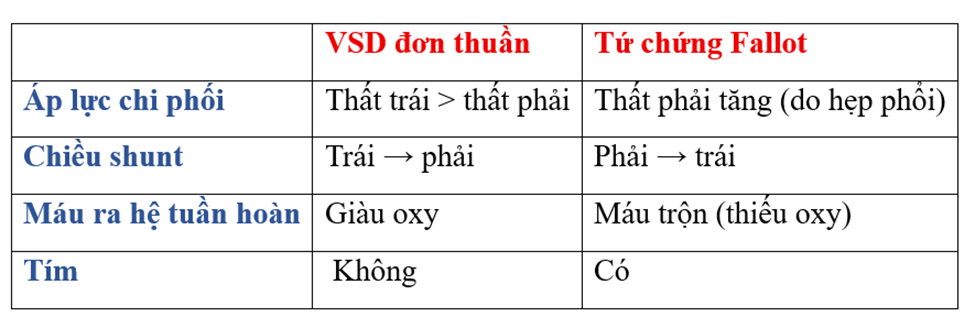 Bảng so sánh giữa VSD đơn thuần và Tứ chứng Fallot dựa trên các yếu tố huyết động chính.
