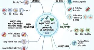 Chon Dam Thuc Vat Hay Dong Vat De Song Khoe2