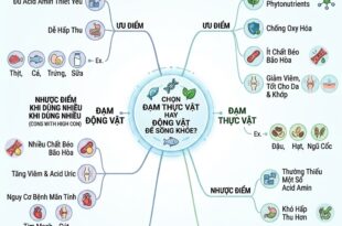 Chon Dam Thuc Vat Hay Dong Vat De Song Khoe2