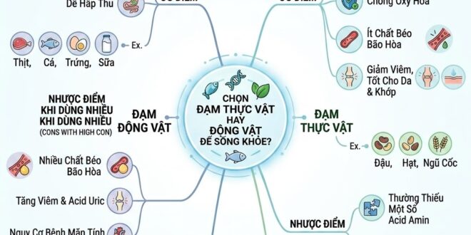 Chon Dam Thuc Vat Hay Dong Vat De Song Khoe2