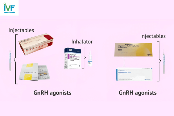 GnRH cac loai thuoc kich trung