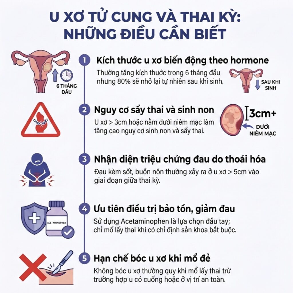 U xơ tử cung (phần 8): U xơ cơ tử cung và thai Screenshot 20260531 101827 NotebookLM