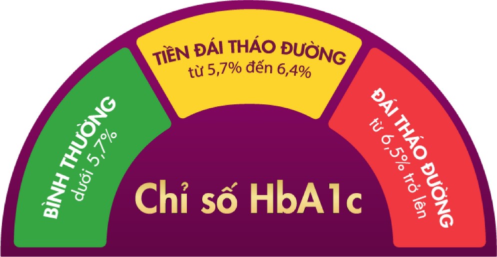 Bệnh thận đái tháo đường: Cơ chế tổn thương, yếu tố nguy cơ và tiến triển bệnh Hình minh họa phân loại HbA1c (chỉ số phản ánh mức đường huyết trung bình trong 2–3 tháng gần đây)
