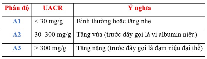 Bệnh thận đái tháo đường: Cơ chế tổn thương, yếu tố nguy cơ và tiến triển bệnh Bảng phân loại albumin niệu theo KDIGO. Albumin niệu được chia thành ba mức độ gồm A1, A2 và A3.