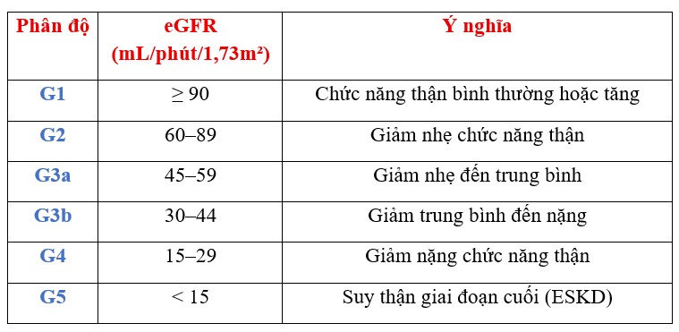 Bệnh thận đái tháo đường: Cơ chế tổn thương, yếu tố nguy cơ và tiến triển bệnh Bảng phân loại bệnh thận mạn theo mức lọc cầu thận ước tính (eGFR) theo khuyến cáo KDIGO 2024.