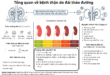 Tong quan ve benh than do dai thao duong 1