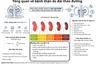 Tong quan ve benh than do dai thao duong 2