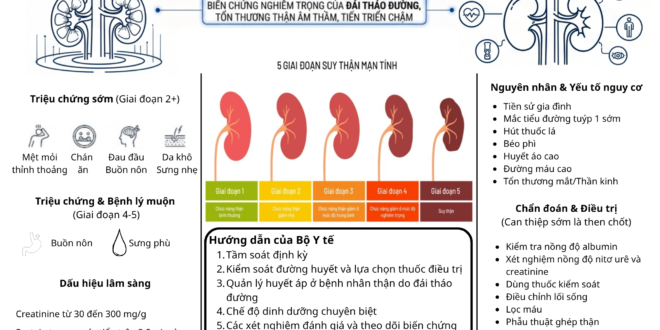 Tong quan ve benh than do dai thao duong